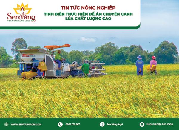 Tịnh Biên thực hiện đề án chuyên canh lúa chất lượng cao