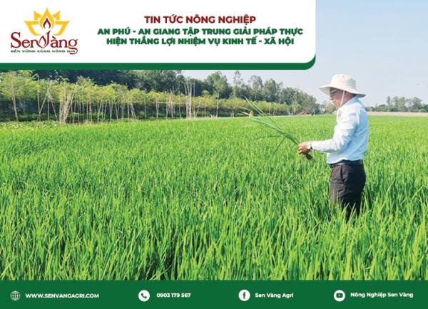 An Phú - An Giang tập trung giải pháp thực hiện thắng lợi nhiệm vụ kinh tế - xã hội